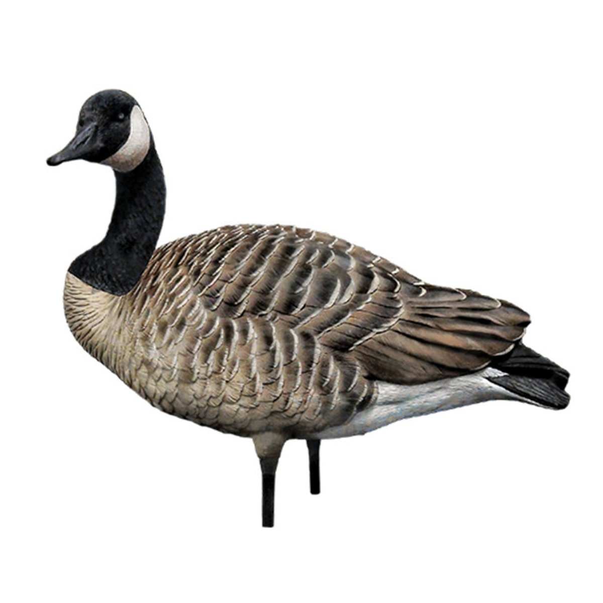 Avian X AXP Honkers: Fusion Pack of 6 Decoys - Forza Sports