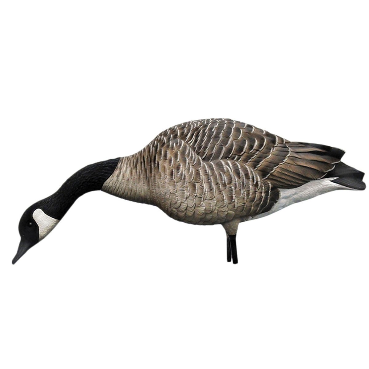 Avian X AXP Honkers: Fusion Pack of 6 Decoys - Forza Sports