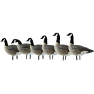 Avian X AXP Lessers : Active Pack of 6 Decoys - Forza Sports