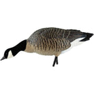 Avian X AXP Lessers : Feeder Pack of 6 Decoys - Forza Sports
