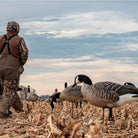 Avian X AXP Lessers : Feeder Pack of 6 Decoys - Forza Sports