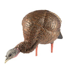 Avian X Heavy Duty Realism Feeding Hen Decoy - Forza Sports