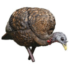 Avian X Lifelike Collapsible Decoy Feeder, Hen Decoy - Forza Sports