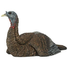 Avian X Lifelike Collapsible Decoy Laydown, Hen Decoy - Forza Sports