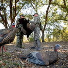 Avian X Lifelike Collapsible Decoy Laydown, Hen Decoy - Forza Sports