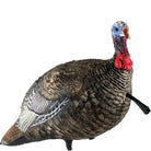 Avian X Lifelike Collapsible Decoy Quarter - Strut, Jake Decoy - Forza Sports