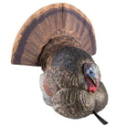 Avian X Lifelike Collapsible Decoy Strutter, Turkey Decoy - Forza Sports
