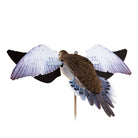 Avian X Powerflight Spinning Wing Dove - Forza Sports