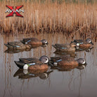 Avian X Topflight Blue - Winged Teal Pack of 6 Floating Decoys - Forza Sports