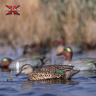Avian X Topflight Early Season Teal Pack of 6 Floating Decoys - Forza Sports