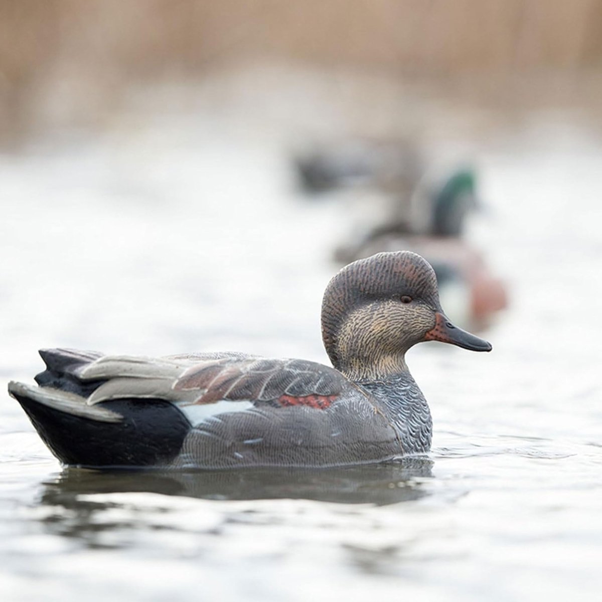 Avian X Topflight Gadwall Pack of 6 Floating Decoys - Forza Sports