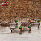 Avian X Topflight Mallards Open Water, Pack of 6 Floating Decoys - Forza Sports