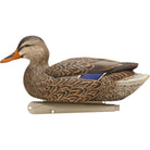 Avian X Topflight Mallards Open Water, Pack of 6 Floating Decoys - Forza Sports