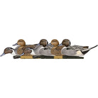 Avian X Topflight Pintails Pack of 6 Floating Decoys - Forza Sports