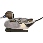 Avian X Topflight Pintails Pack of 6 Floating Decoys - Forza Sports