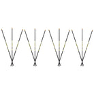 Carbon Express D - Stroyer Arrows - Forza Sports