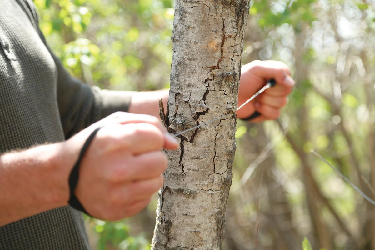 Coghlan's Commando Saw, 20" Wire Cutting Surface, Cuts Wood and Other Material - Forza Sports