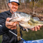 Rapala CrushCity Bronco Bug 4" Fishing Soft Bait - Forza Sports