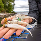 Rapala CrushCity Freeloader 4.25" Soft Bait - Forza Sports