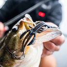 Rapala CrushCity HedgeHog 4" Soft Bait - Forza Sports