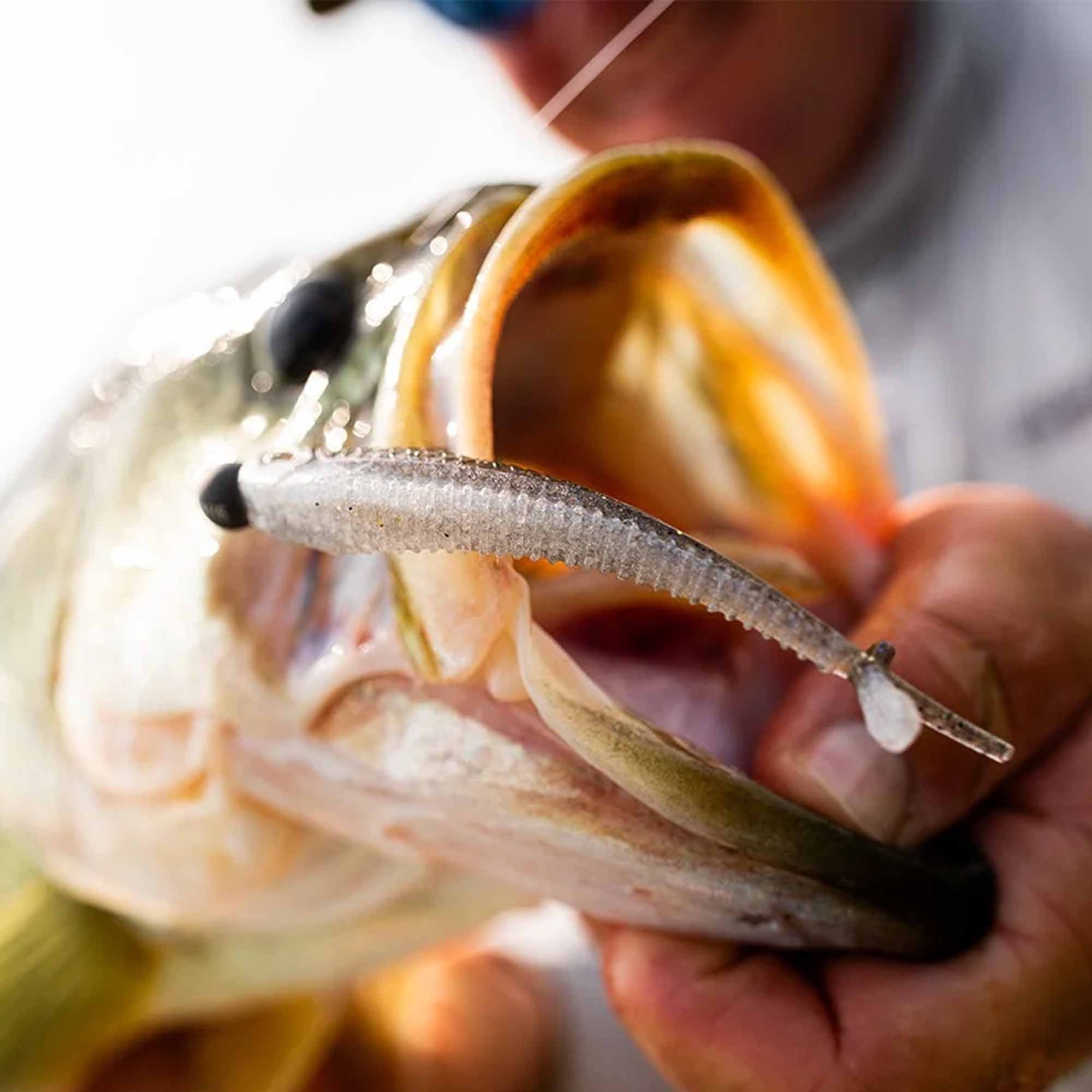 Crush City Mooch Minnow 3.5" - Forza Sports