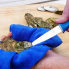 Cuda 3.5" Shucking Knife Titanium Bonded - Forza Sports