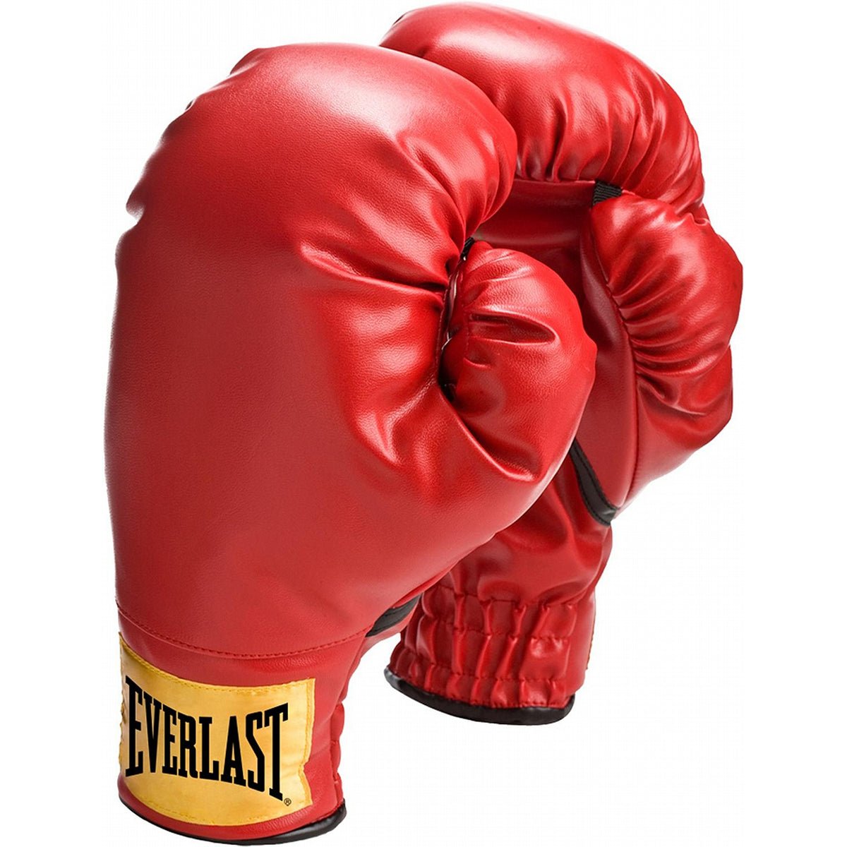 Everlast Youth Boxing Gloves - Forza Sports