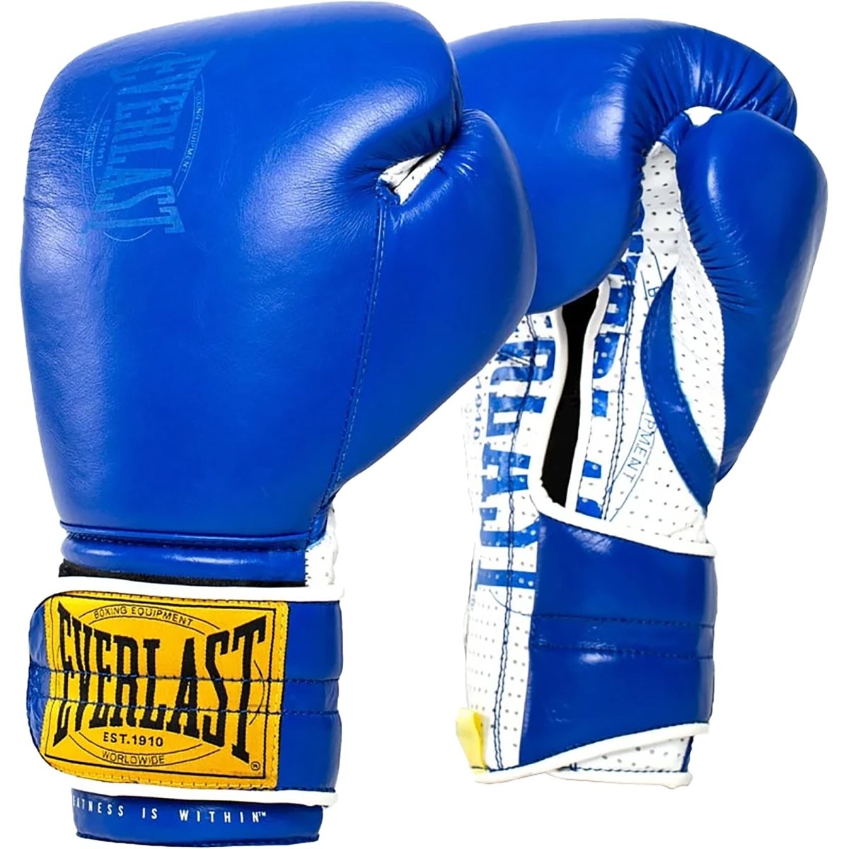 Everlast 1910 Hook and Loop Sparring Boxing Gloves – Forza Sports