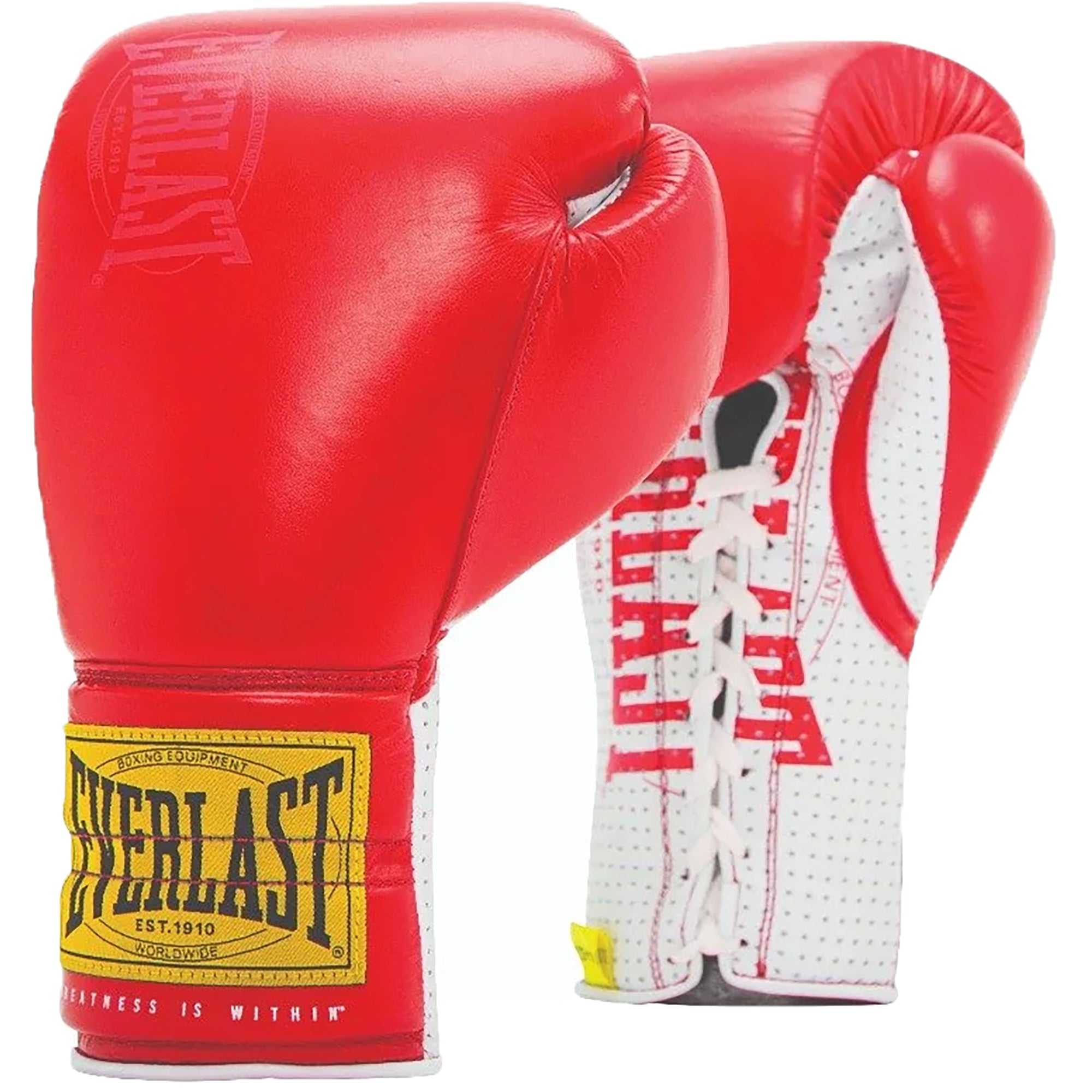 Everlast laced boxing gloves deals