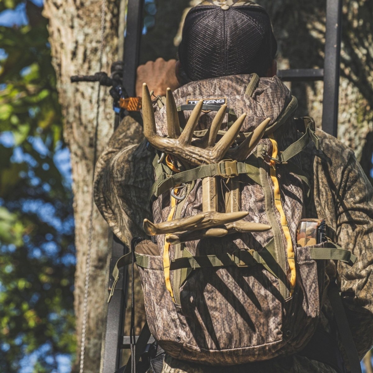 फ्लेक्सटोन हंटिंग बैटल बोन्स - फोर्ज़ा स्पोर्ट्स