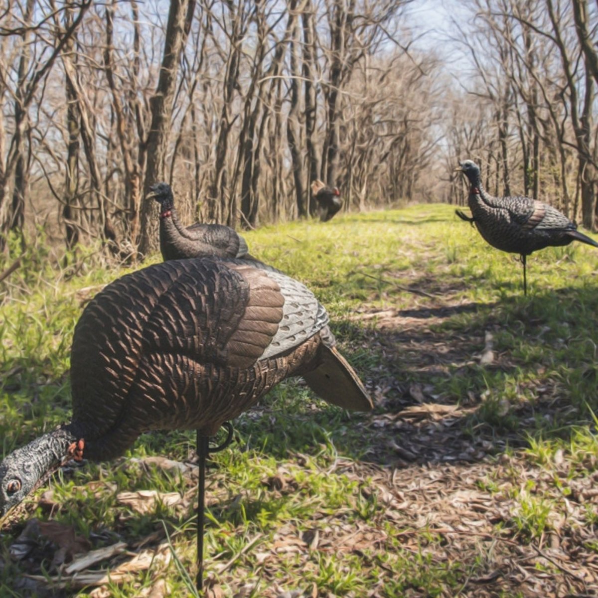 Flextone Hunting Thunder Chick Feeder - Forza Sports