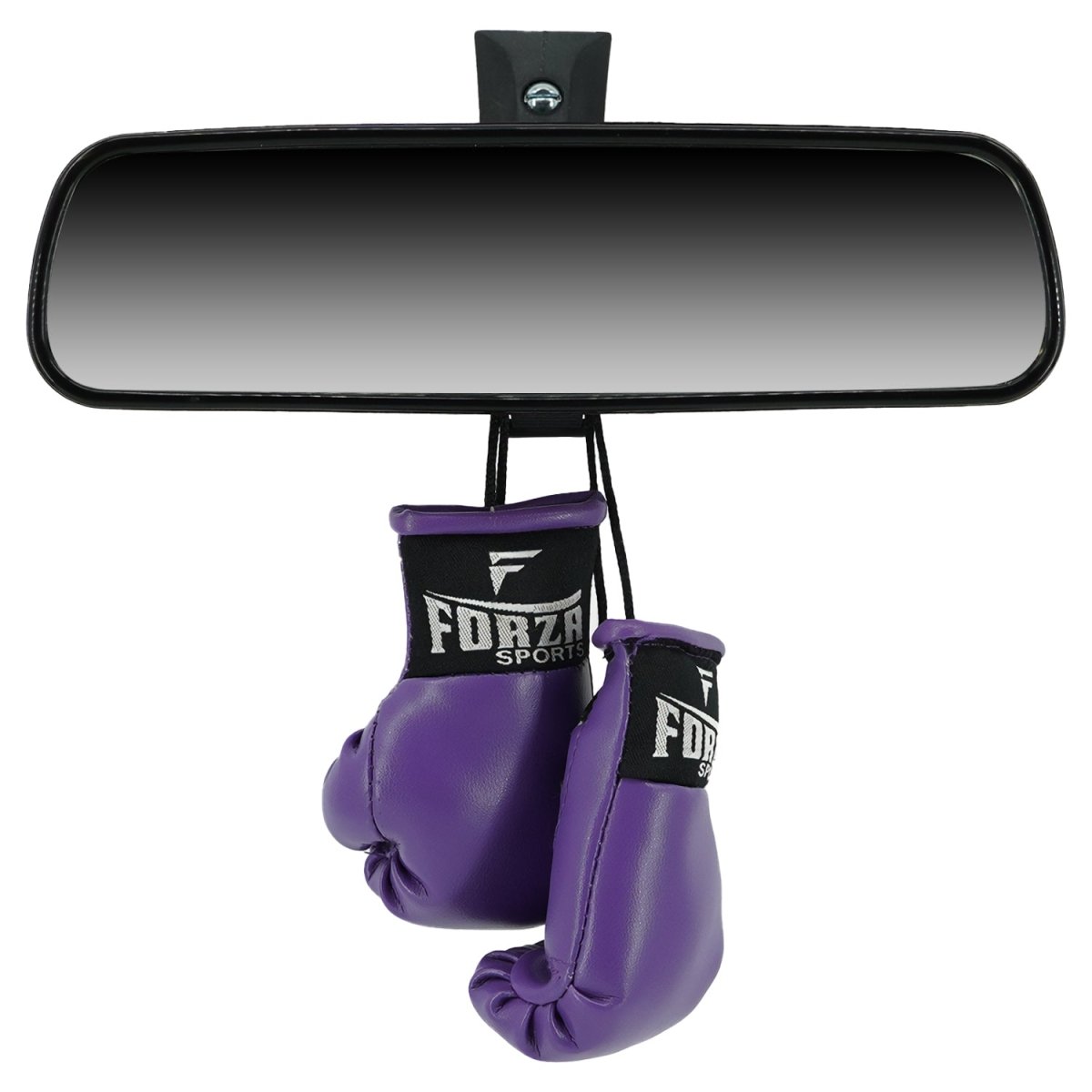 Forza Sports Mini Boxing Gloves - Forza Sports
