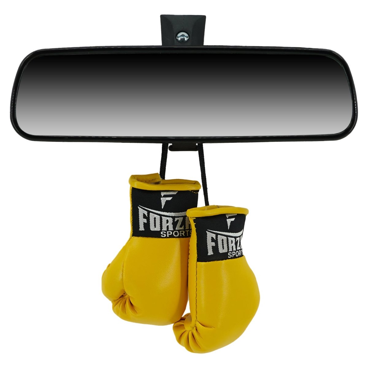 Forza Sports Mini Boxing Gloves - Forza Sports