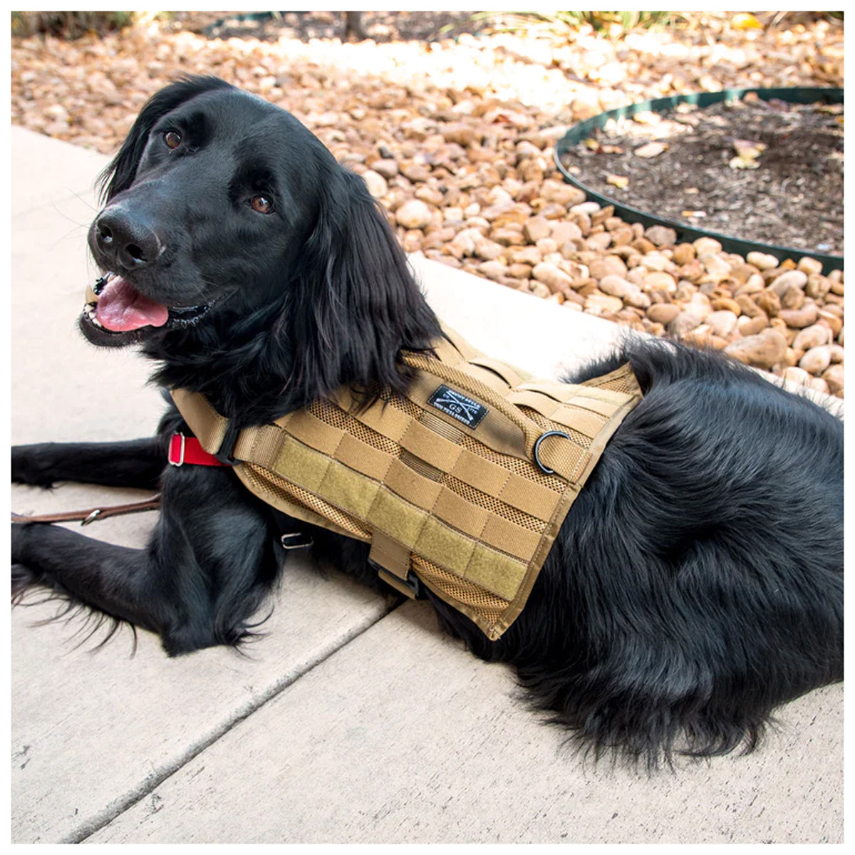 Grunt Style Mesh Tactical Dog Vest - Medium - Coyote Grunt Style