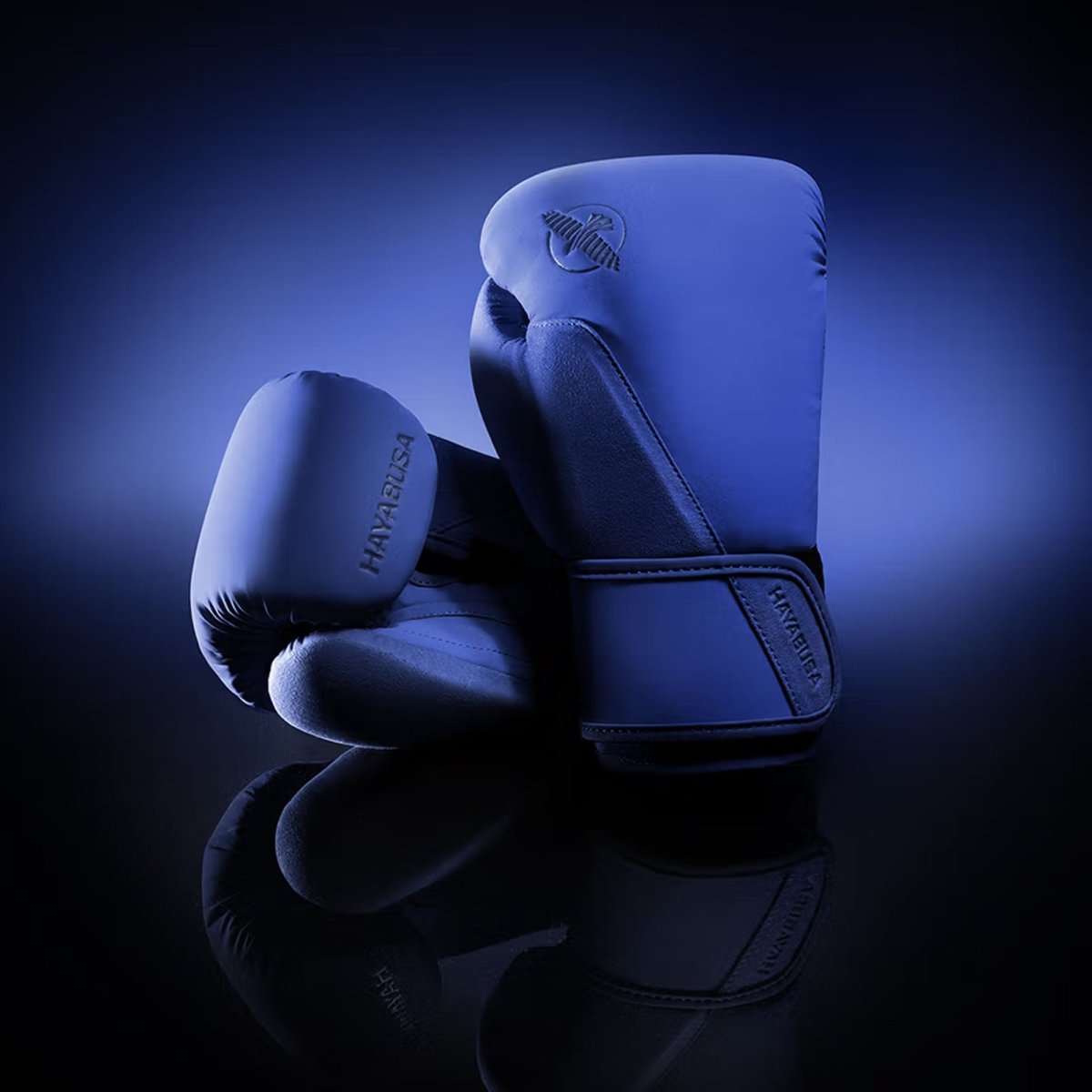 Hayabusa T360 Boxing Gloves - Forza Sports