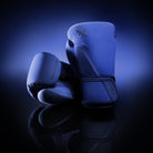 Hayabusa T360 Boxing Gloves - Forza Sports