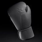 Hayabusa T360 Boxing Gloves - Forza Sports