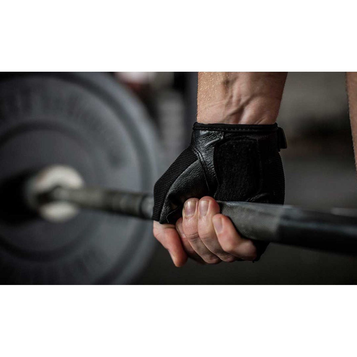 Harbinger 155 Power Fitness Weight Lifting Gloves - Black - Forza Sports