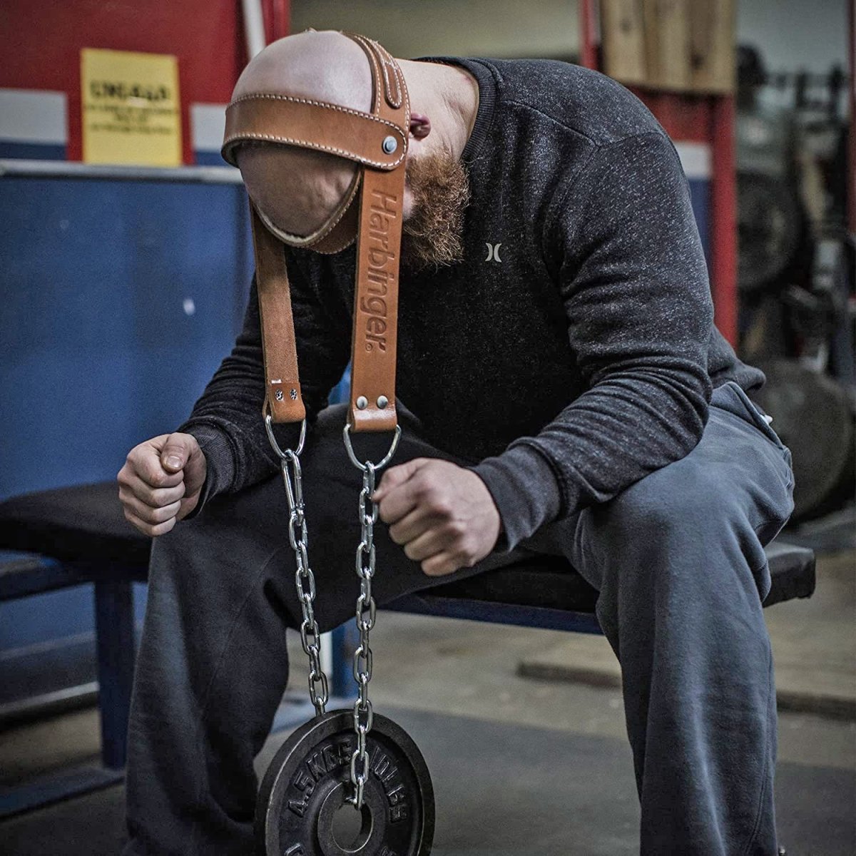 Harbinger Leather Head Harness - Forza Sports