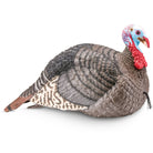 Hunter's Specialties Strut - Lite Jake Decoy - Forza Sports