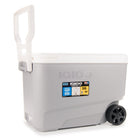 IGLOO Wheelie Cool 38 Qt Cooler - Forza Sports