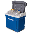 Igloo Latitude 16 QT Cooler Box - Forza Sports