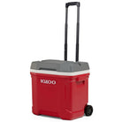 IGLOO Latitude 30 Qt रोलर कूलर - फोर्ज़ा स्पोर्ट्स