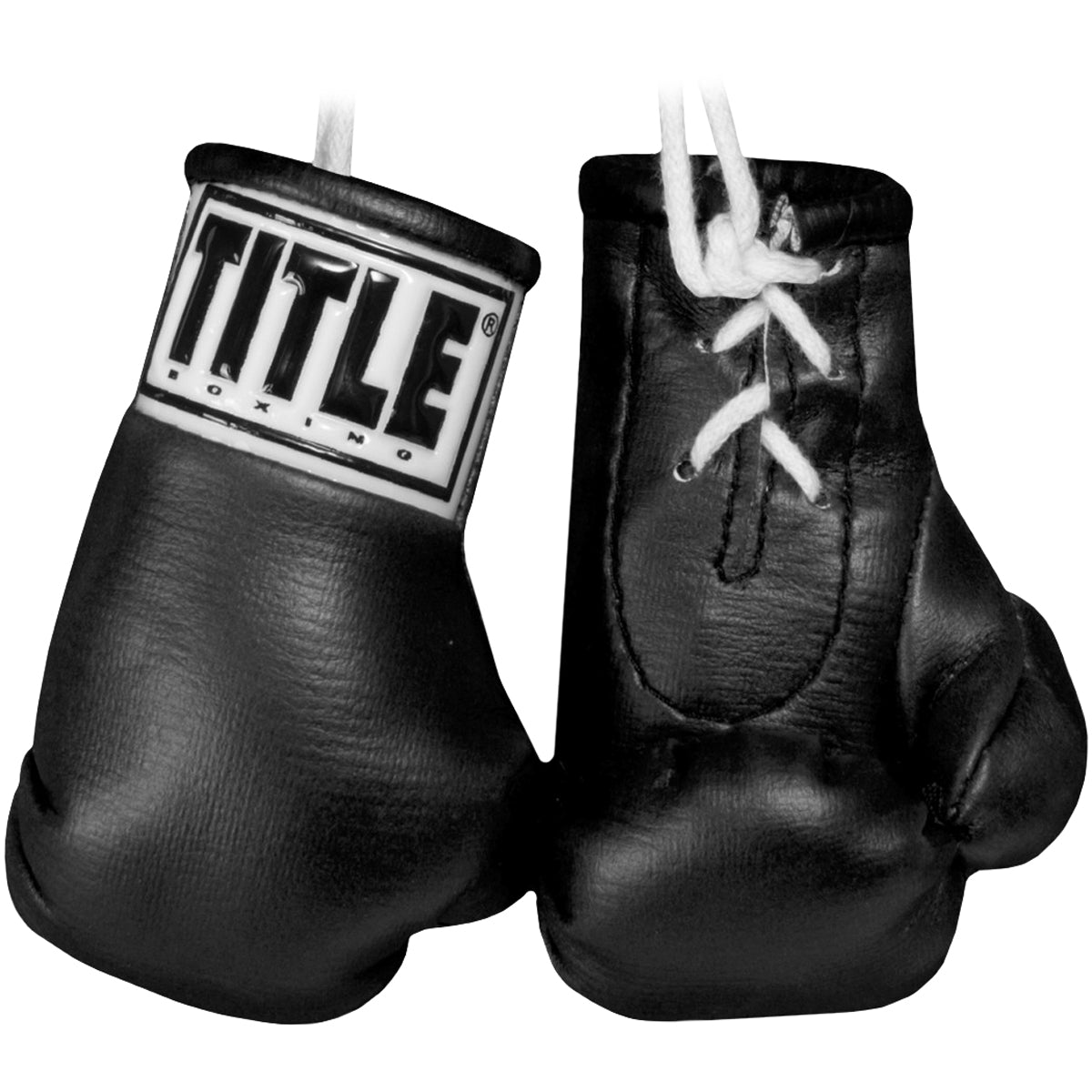 Detailed Design Title Boxing Mini Lace Up Gloves – Forza Sports