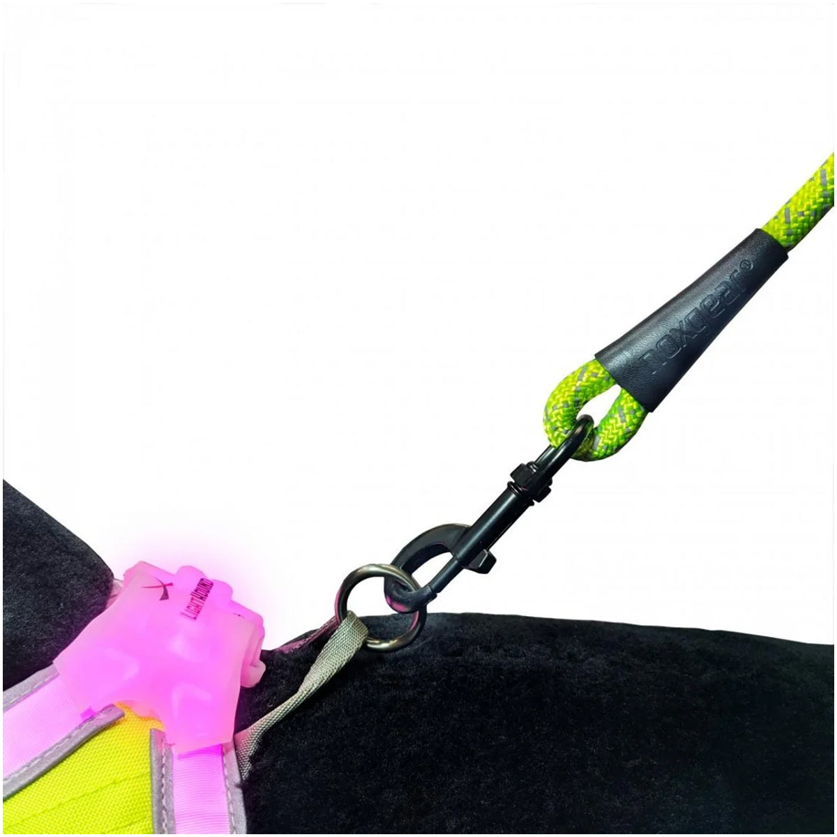 Noxgear High Visibility Dog Leash - Fluorescent Yellow Noxgear