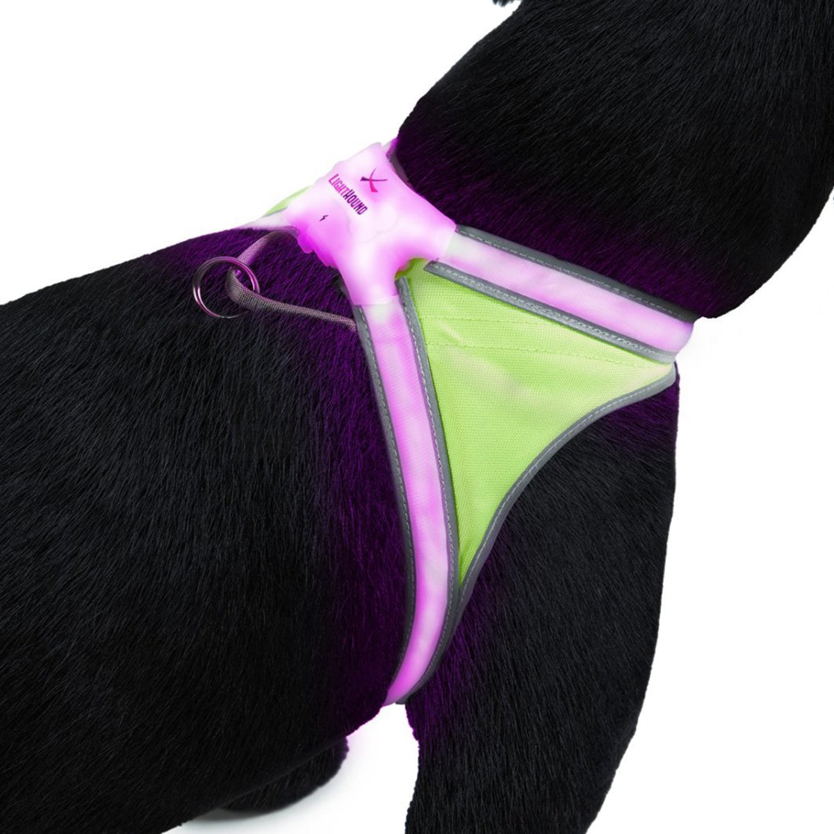 Noxgear Lighthound 360 Visibility Multicolor Reflective LED Dog Harness - Small Noxgear