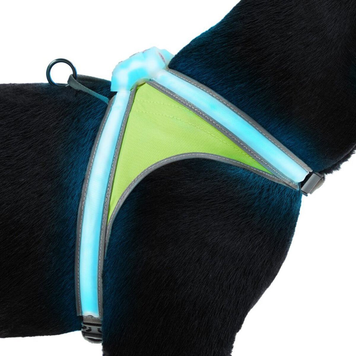 Noxgear Lighthound 360 Visibility Multicolor Reflective LED Dog Harness - Small Noxgear