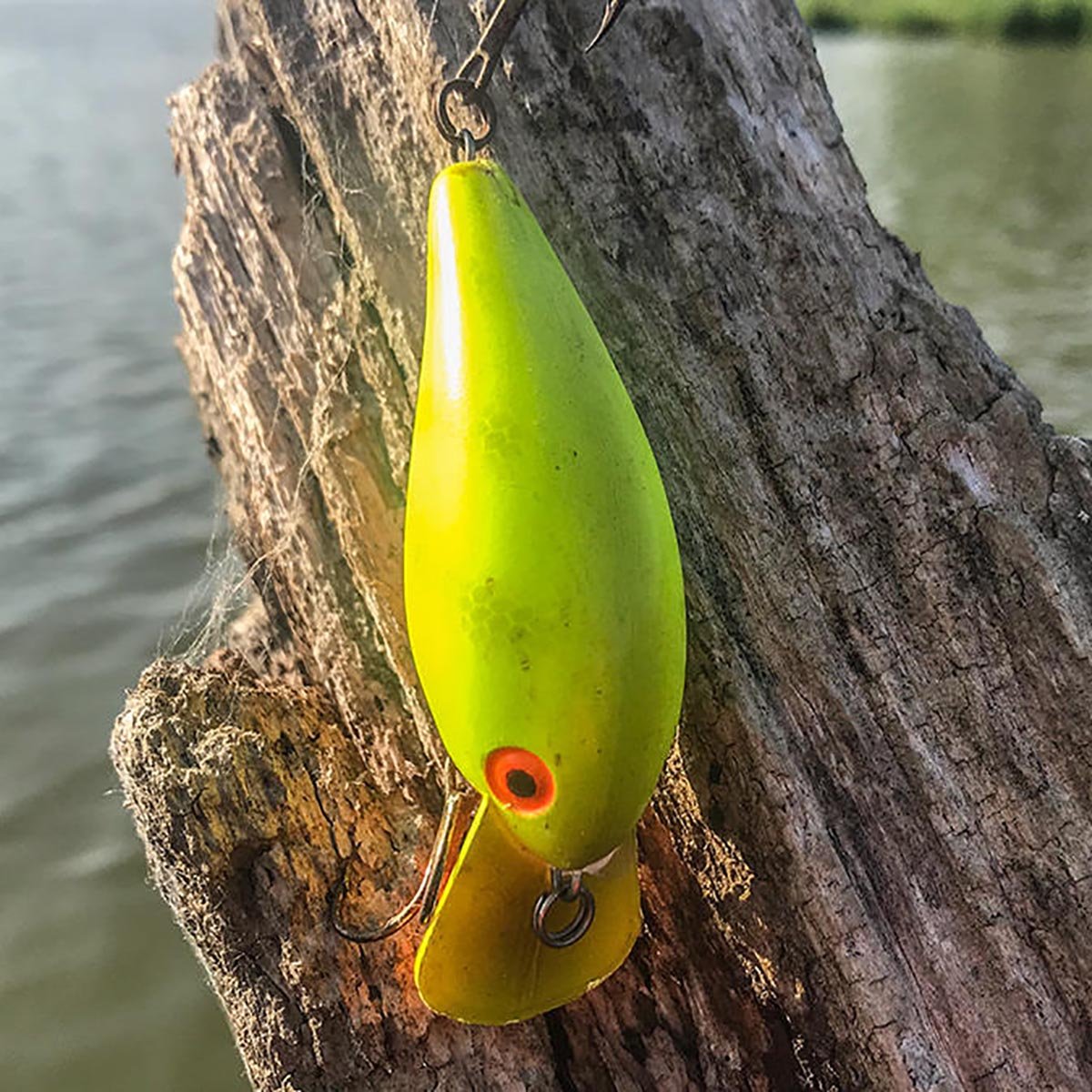 cotton cordell big o fishing lure Cotton Cordell Big O