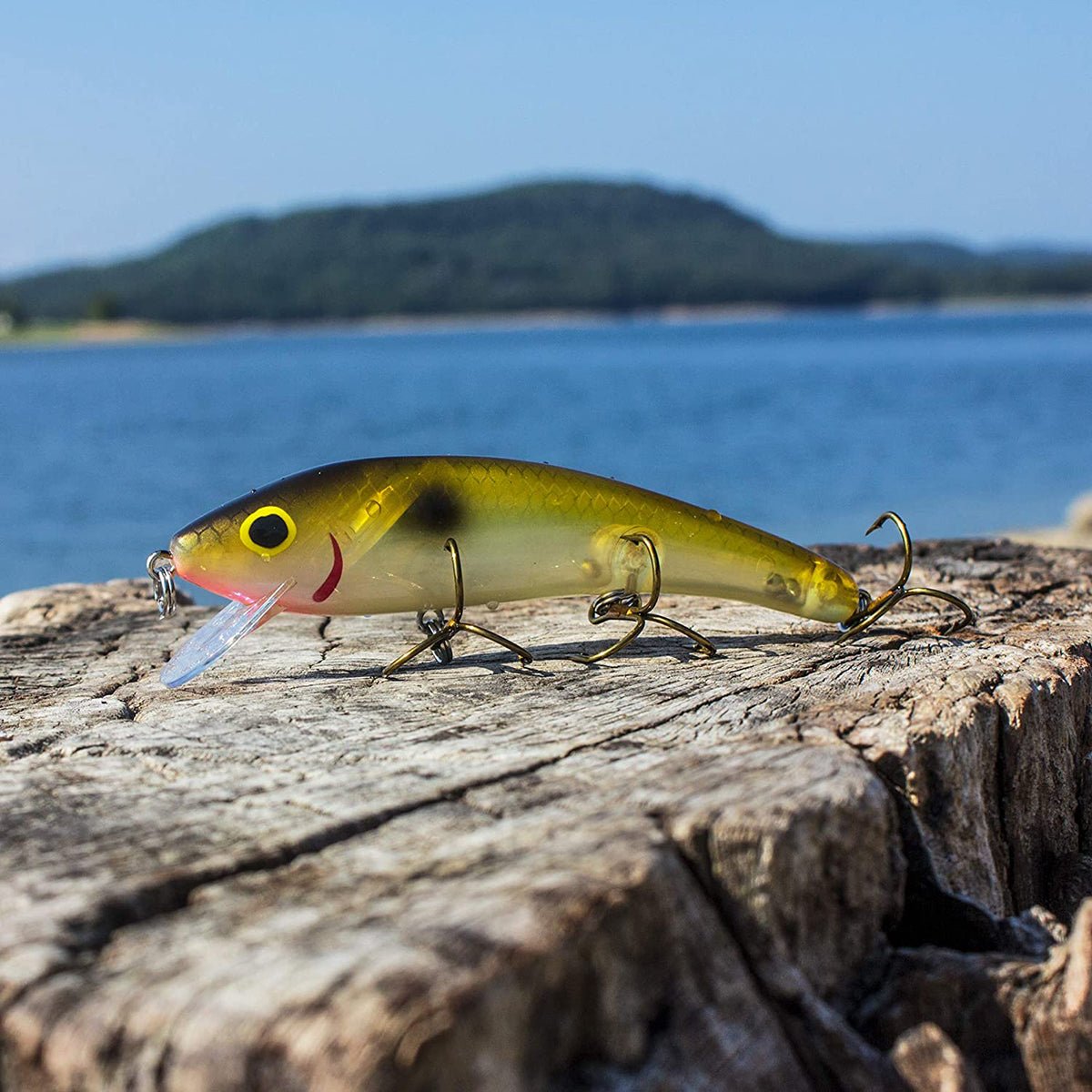 cordell redfin fishing lure Cotton Cordell Suspending Ripplin' Red Fin