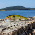 Cotton Cordell Suspending Ripplin Red Fin 3/8 oz Fishing Lure Cotton Cordell